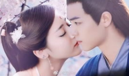 吃瓜小说娱乐圈完结文,瓜田里的甜蜜复仇